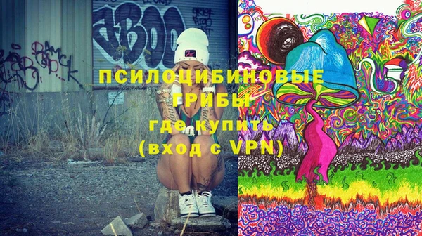 тгк Верея