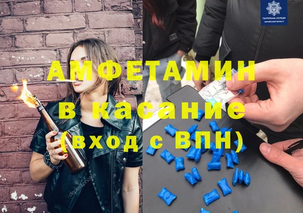 сатива Волоколамск